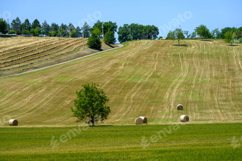 Preview: Rural landscape near Guiglia, Emilia-Romagna.