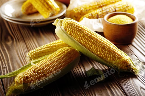 Preview: Kitchen table with raw and grilled sweet corn cob on baking pape