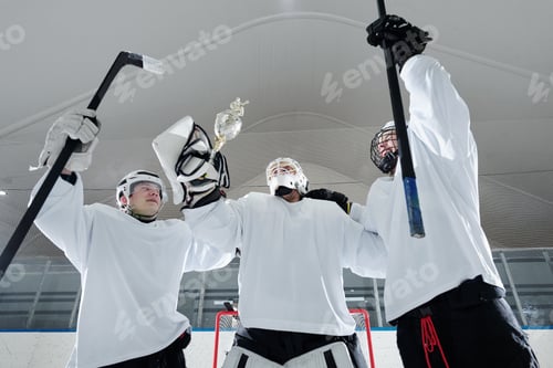 Preview: Group of young hockey players in sports uniform holding sticks and cup of winner