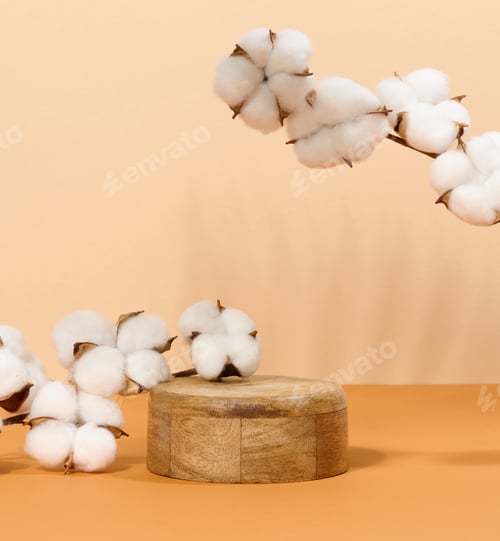 Preview: Round wooden platform and cotton branch with white flowers on beige background
