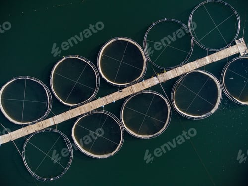 Preview: trout fish farm in the river aerial view