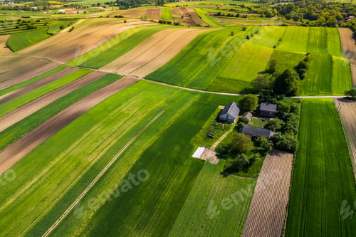 Preview: Green Lush Farm Fields and Meadows in Poland at Spring