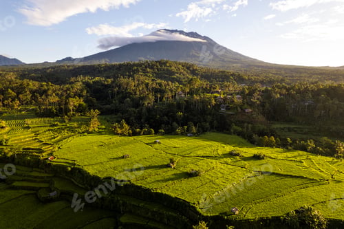 Preview: Aerial sunrise view of green rice fields and Mount Agung in Bali, Indonesia