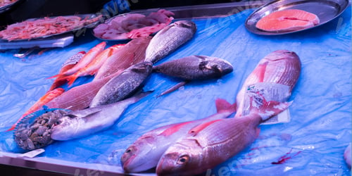 Preview: Fresh Fish at Central Food Market