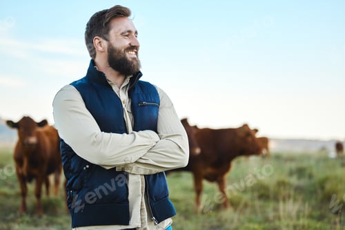 Preview: Smile, cow and agriculture with man on farm for sustainability, production or thinking industry gro