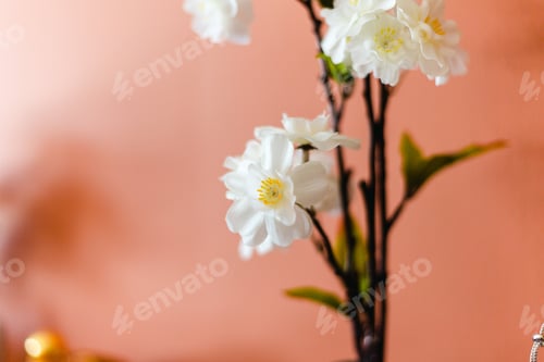 Preview: Fake artificial white decorative flowers against a terracotta-colored background wall