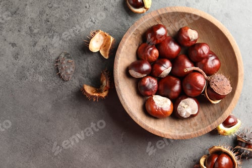Preview: Horse chestnuts in wooden plate on grey table, flat lay. Space for text