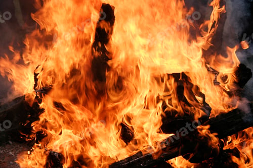Preview: campfire