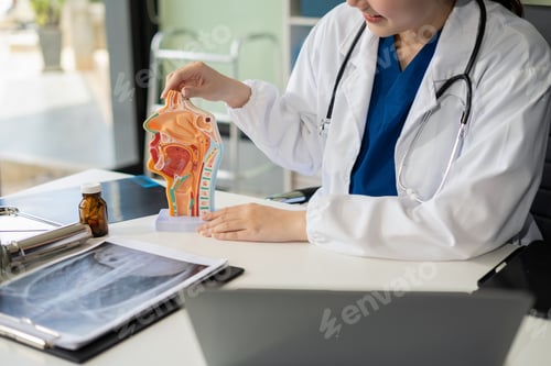 Preview: Diagnosis of diseases based on human anatomical models.