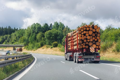 Preview: Back view many long heavy industrial wood carrier cargo vessel truck trailer with big timber pine