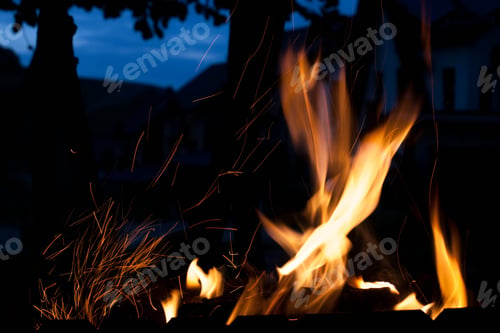 Preview: flaming fire. The concept of nature.