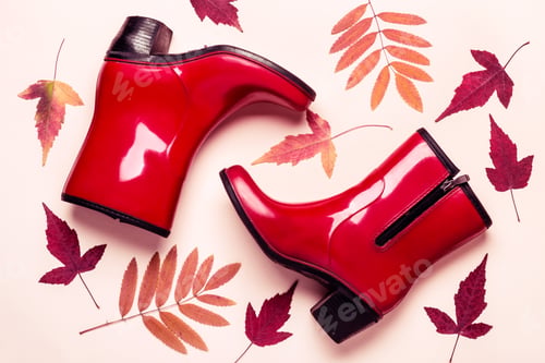 Preview: female fashion autumn rubber boots and dry leaves on pastel color background