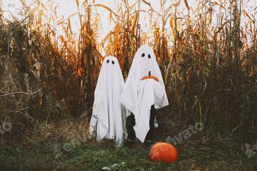 Preview: Halloween Kids Holidays Concept.