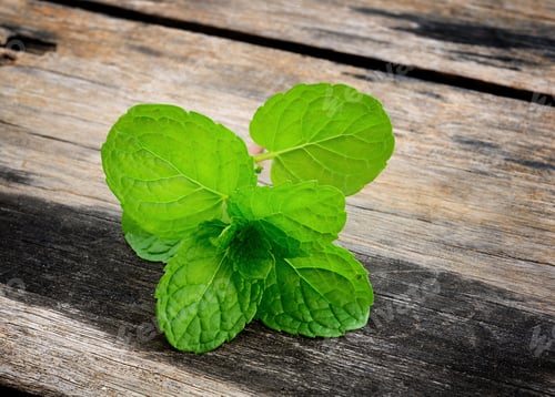 Preview: Leaves of mint on rustic wooden background