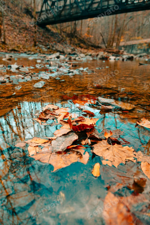 Preview: Beautiful foliage landscape