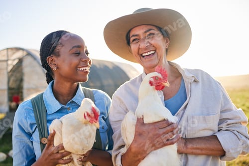 Preview: Farm, happy and women with chicken in nature, countryside and field for wellness, growth and ecolog