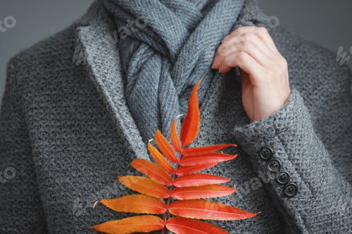 Preview: Gray knit jacket, blue scarf, female hand and autumn leaf closeup.