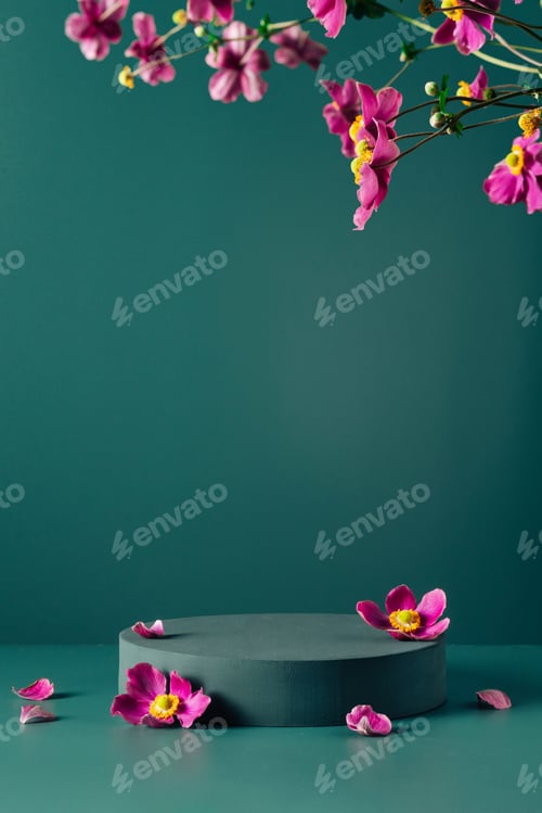 Preview: Podium, stand, showcase and brigth purple flowers on dark teal background