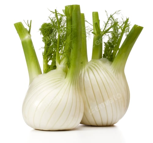 Vista previa: Fresh fennel bulb isolated on white background close up