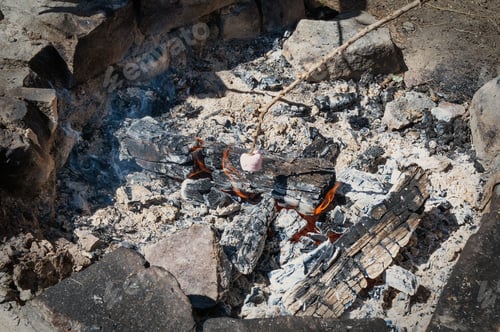 Preview: Grilling marshmallows over a campfire in the countryside
