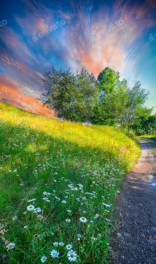 Preview: Majestic countryside landscape with forested hills and grassy meadows in mountains