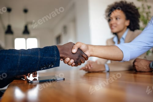 Preview: Two business partners, sealing the deal by handshake.