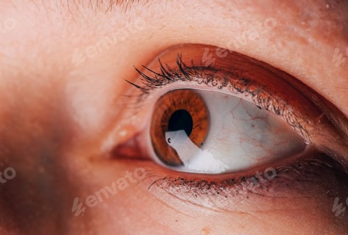 Preview: Close up of females golden brown eyes useful for ophthalmology or optometry imagery