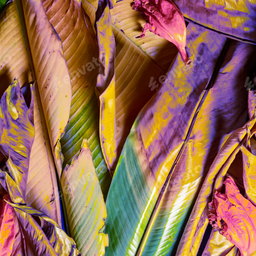 Preview: Creative background of tropical leaves painted in vibrant pink, yellow, and purple hues,