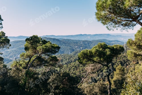 Preview: scenic view of green trees and hills covered with forest, barcelona, spain