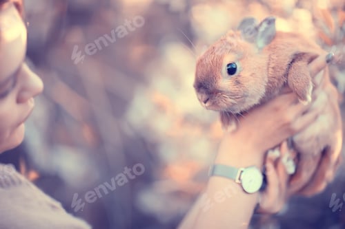 Preview: Spring Look, Girl Holding A Rabbit Easter Greetings, Beautiful Background In A Blooming Apple