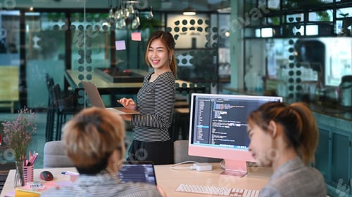 Preview: Young programmers or software developers team brainstorming, discussing on web site project.