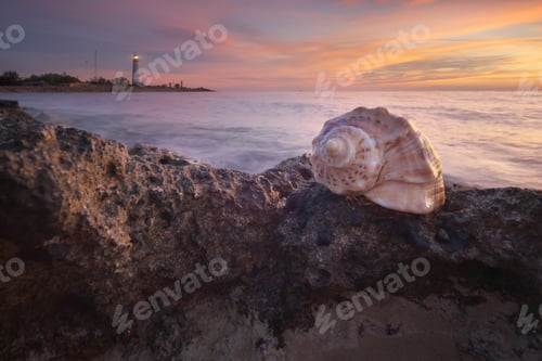 Preview: Conch and sunset on the sea