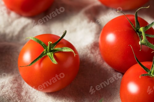 Preview: Raw Organic Vine Ripe Red Tomatoes