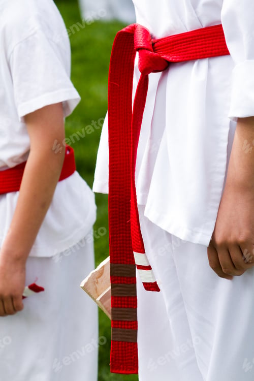 Preview: Tae Kwon Do