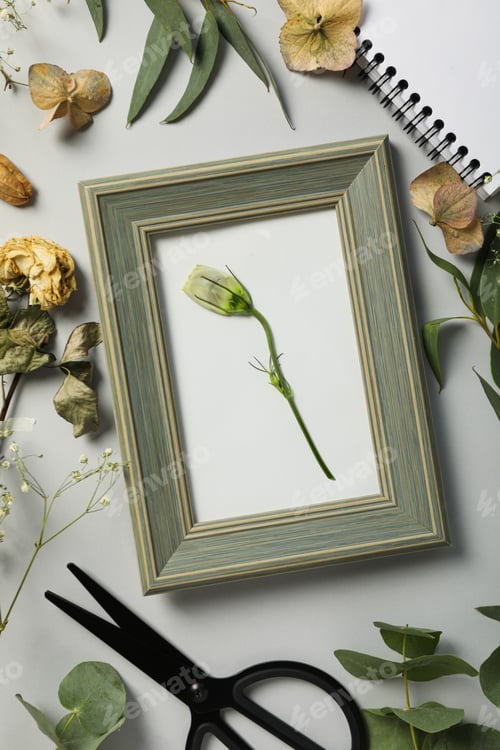 Preview: Fresh and dried plants, photo frame, scissors and notepad on light background, top view