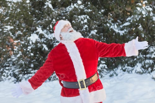 Preview: Portrait of Santa in Winter Forest