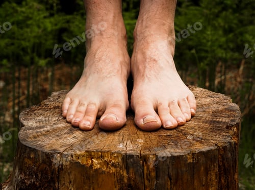 Preview: A pair of human feet barefoot on a tree stump allowing a person to become closer to nature,