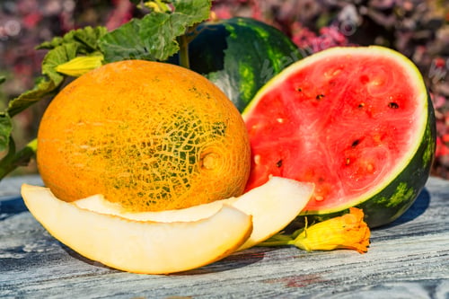 Preview: Fresh ripe watermelon and melon with flowers
