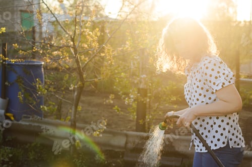 Preview: A woman against the setting sun waters the garden from a hose with a sprayer, copy space.