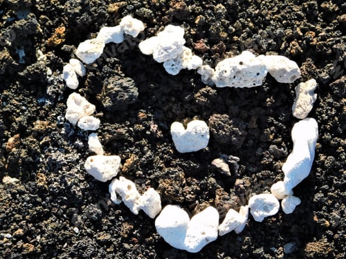 Preview: HOPE! LOVE! Hearts in the Wild!
