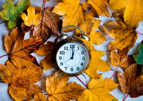 Preview: clock on autumn maple leaves
