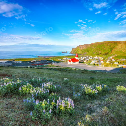 Preview: Impressive view of Vikurkirkja christian church in blooming lupine flowers.