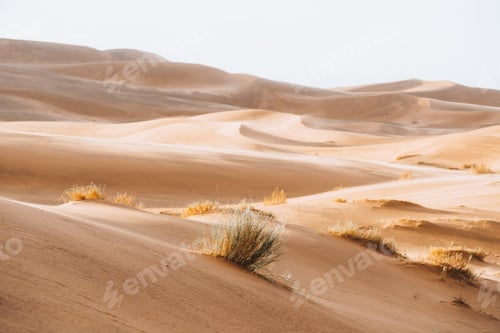 Preview: Sand texture in Morocco Sahara Merzouga Desert landscape oriented