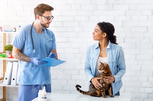 Preview: African American woman with tabby cat on visit to vet doctor at medical office