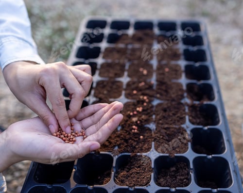 Preview: Agriculture concept