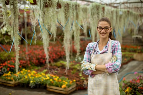 Preview: Pretty young woman working with spring flowers in the greenhouse
