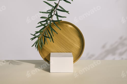 Preview: Empty square white podium with round disk and green leaves
