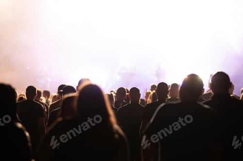 Preview: Crowd at concert and blurred stage lights.