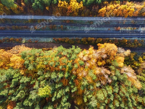 Preview: Railway in an Autumn forest