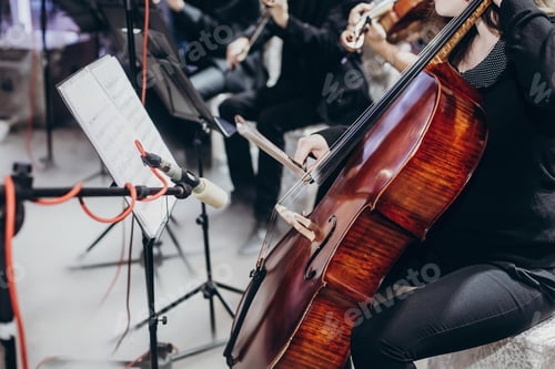 Preview: musician playing on contrabass at luxury wedding reception